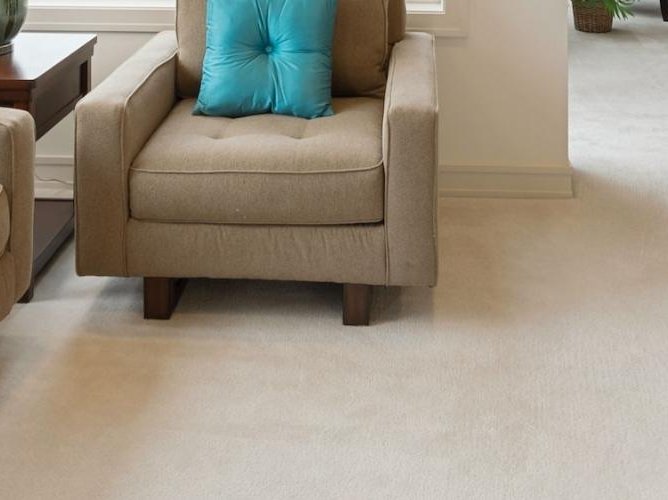 Soft looking carpet in a bright living room