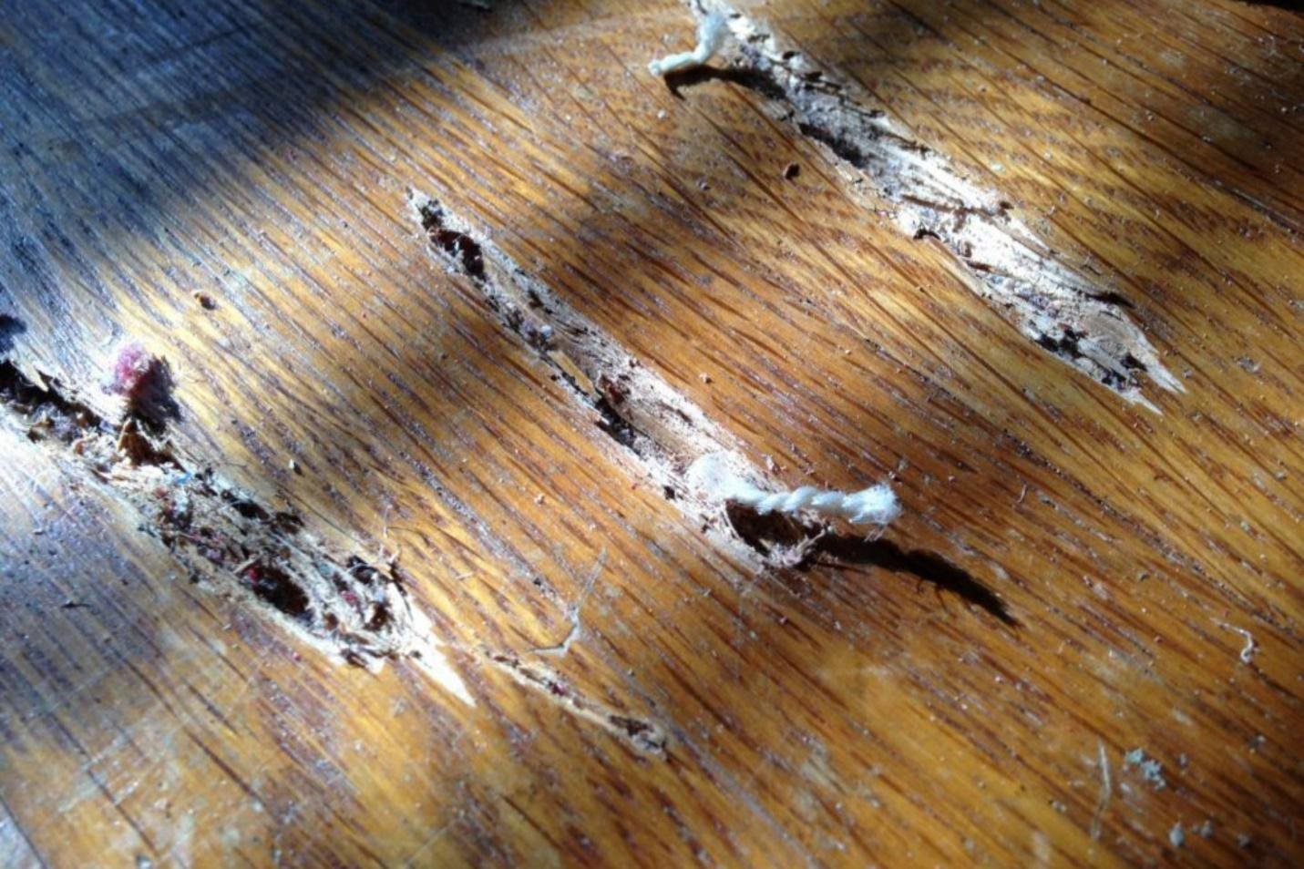 how-to-fix-gouges-in-hardwood-floors-2-easy-methods